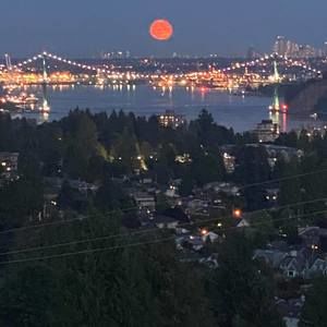 Meet your Posher, Adam